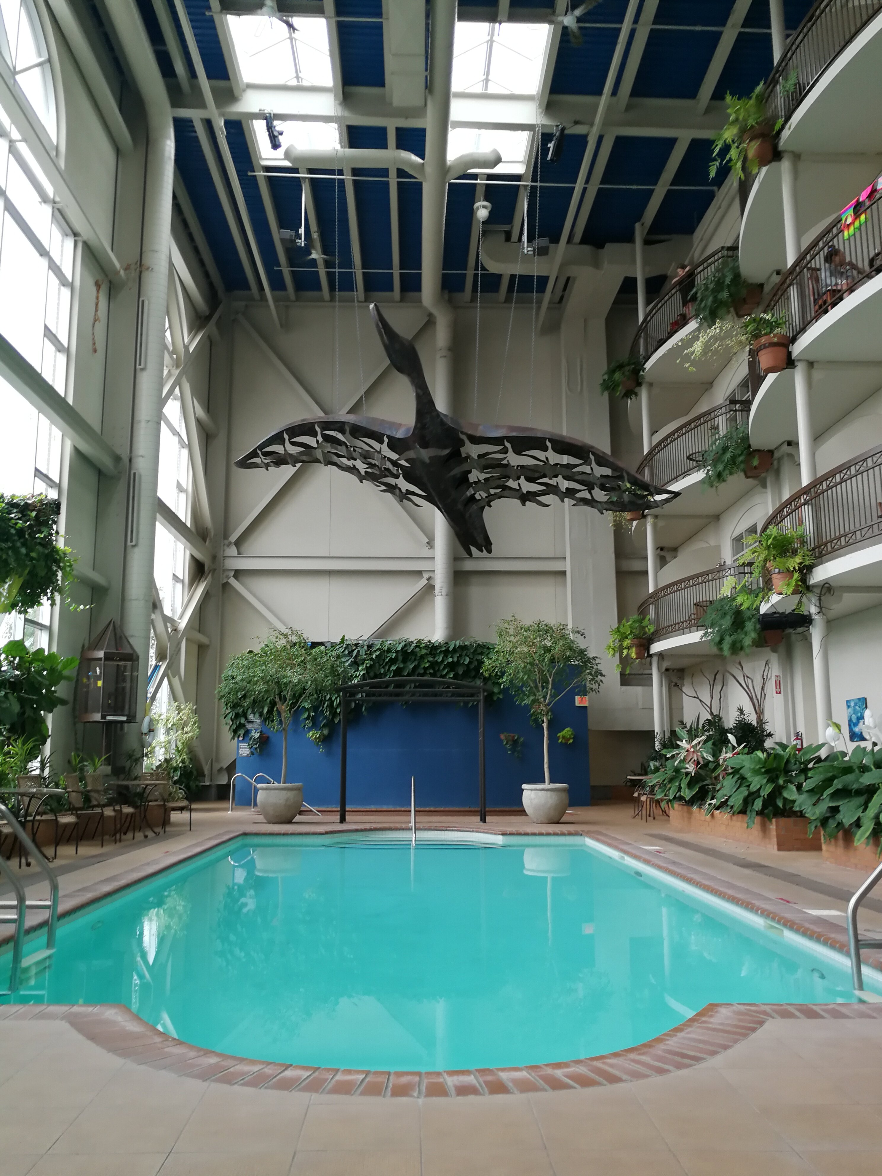 Hôtel L'oie Des Neiges-泳池