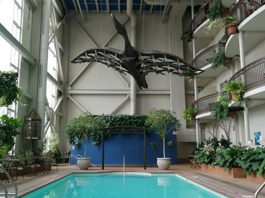 Hôtel L'oie Des Neiges主图