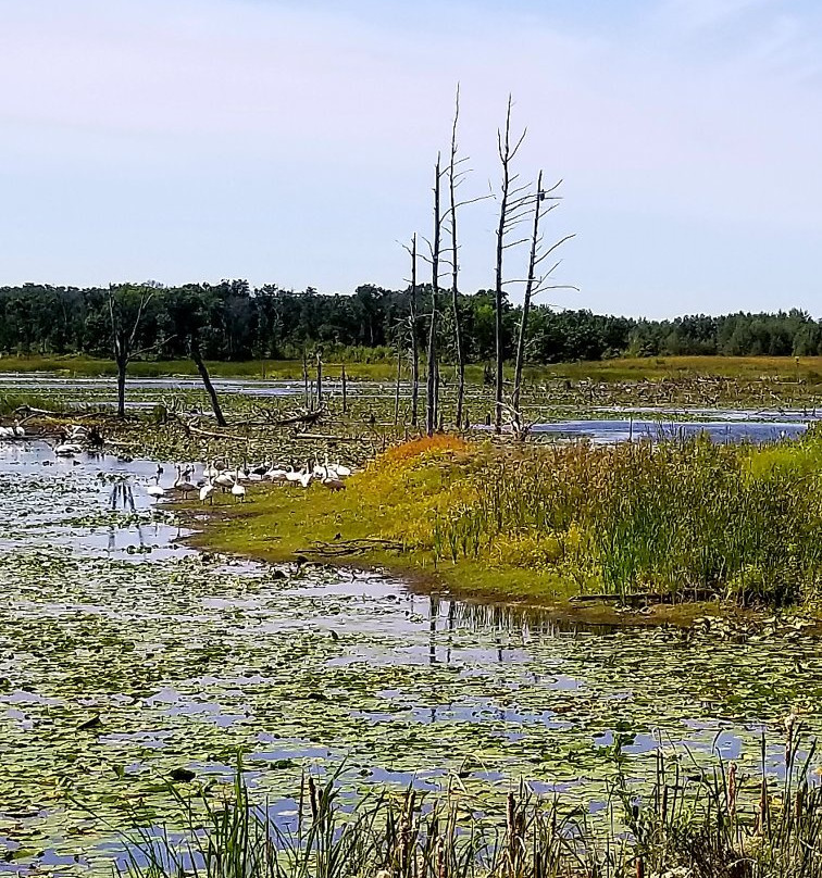 Sherburne National Wildlife Refuge景点图片