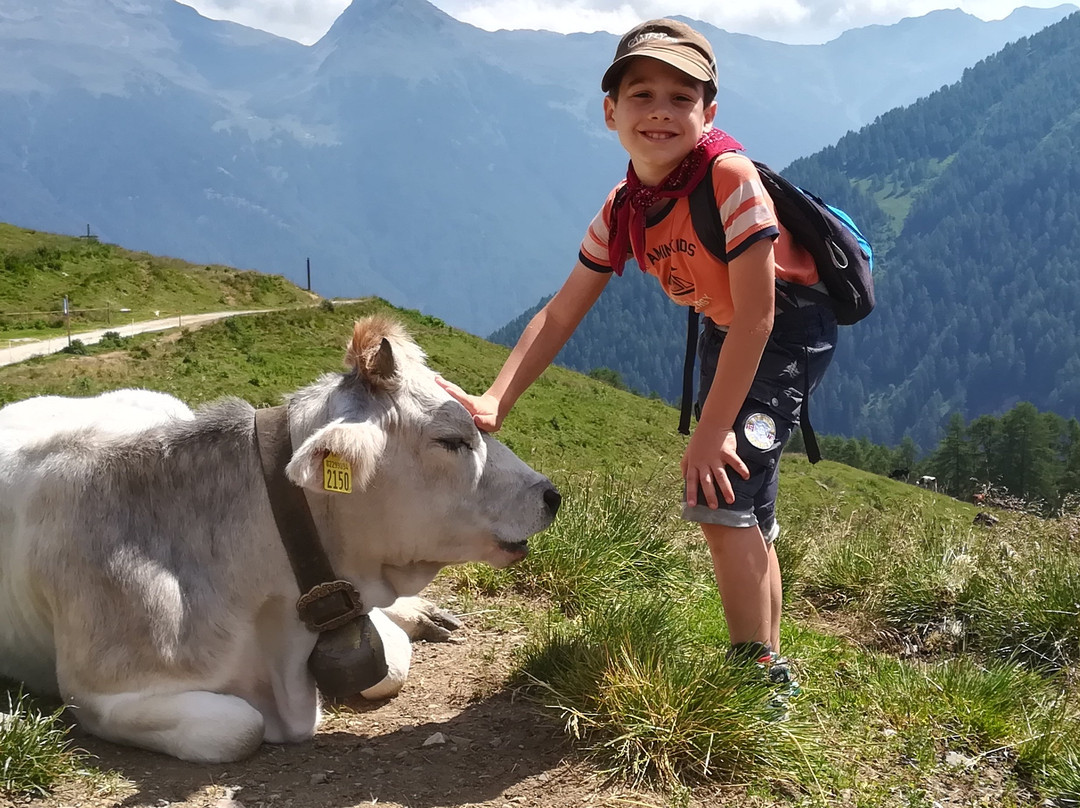 Grand Hotel Rabbi主图