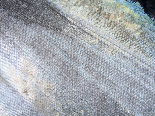 Mainely Blue Charters-南波特兰必去景点