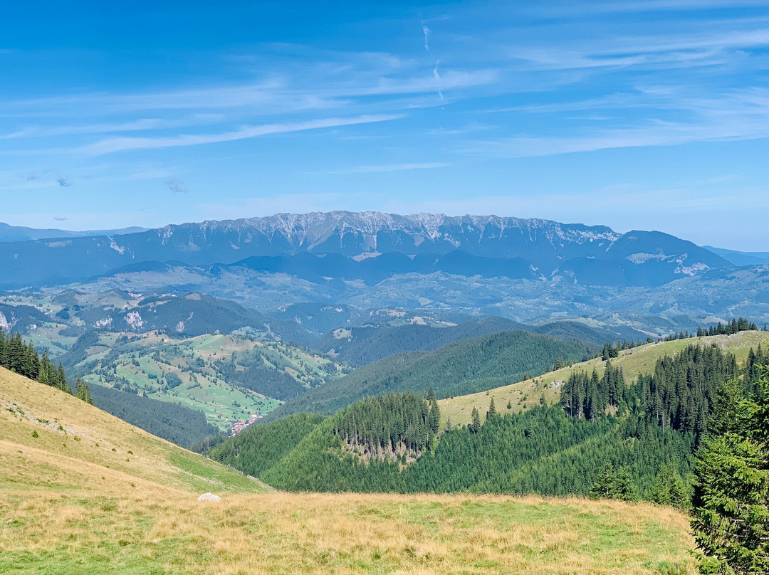 Pensiunea la Turcu