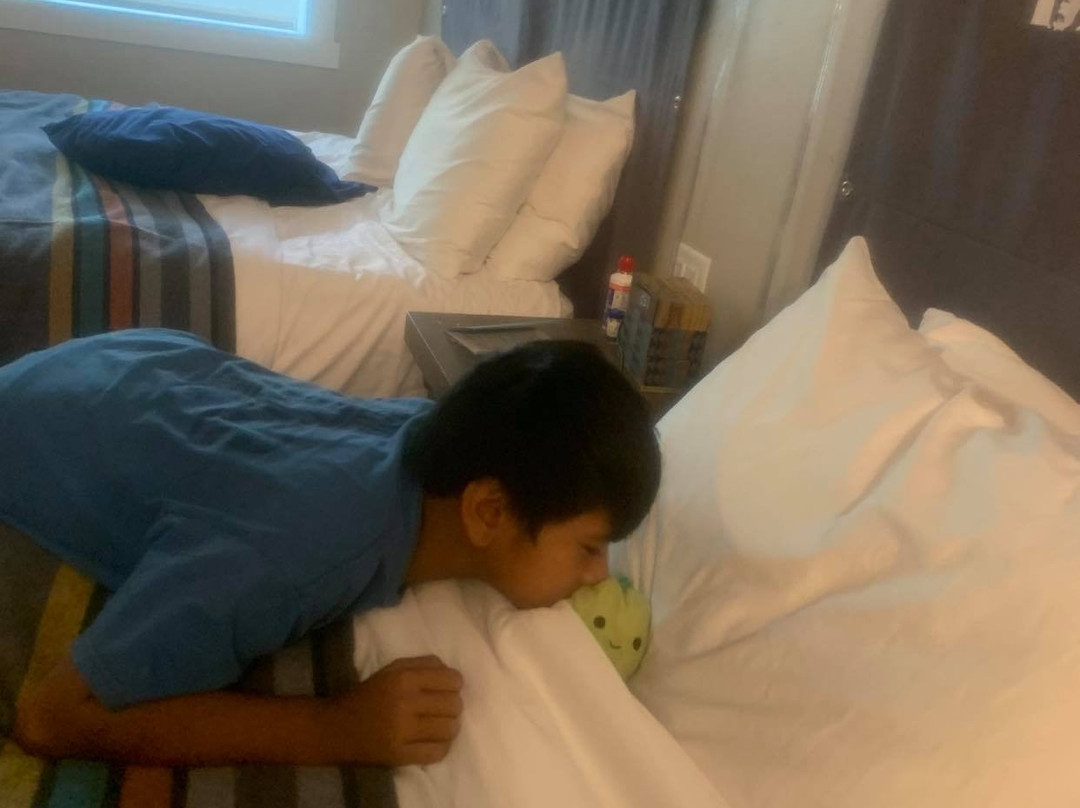 Basecamp Tahoe City主图