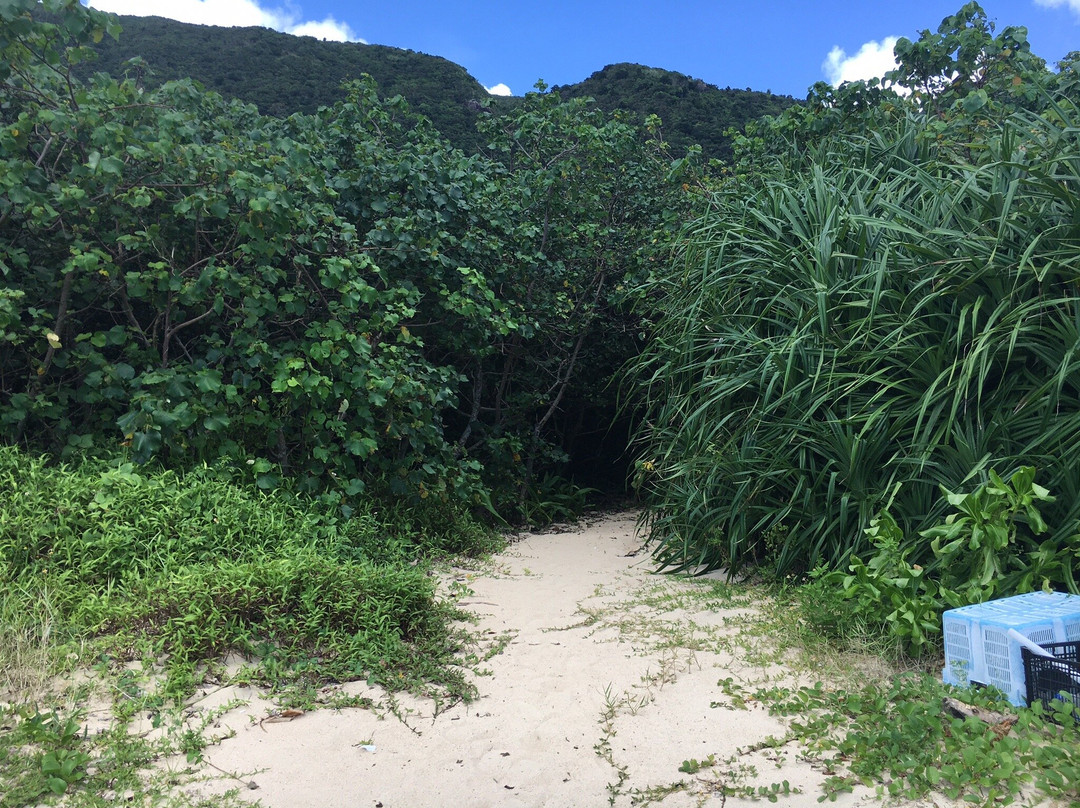 Haemida Beach景点图片