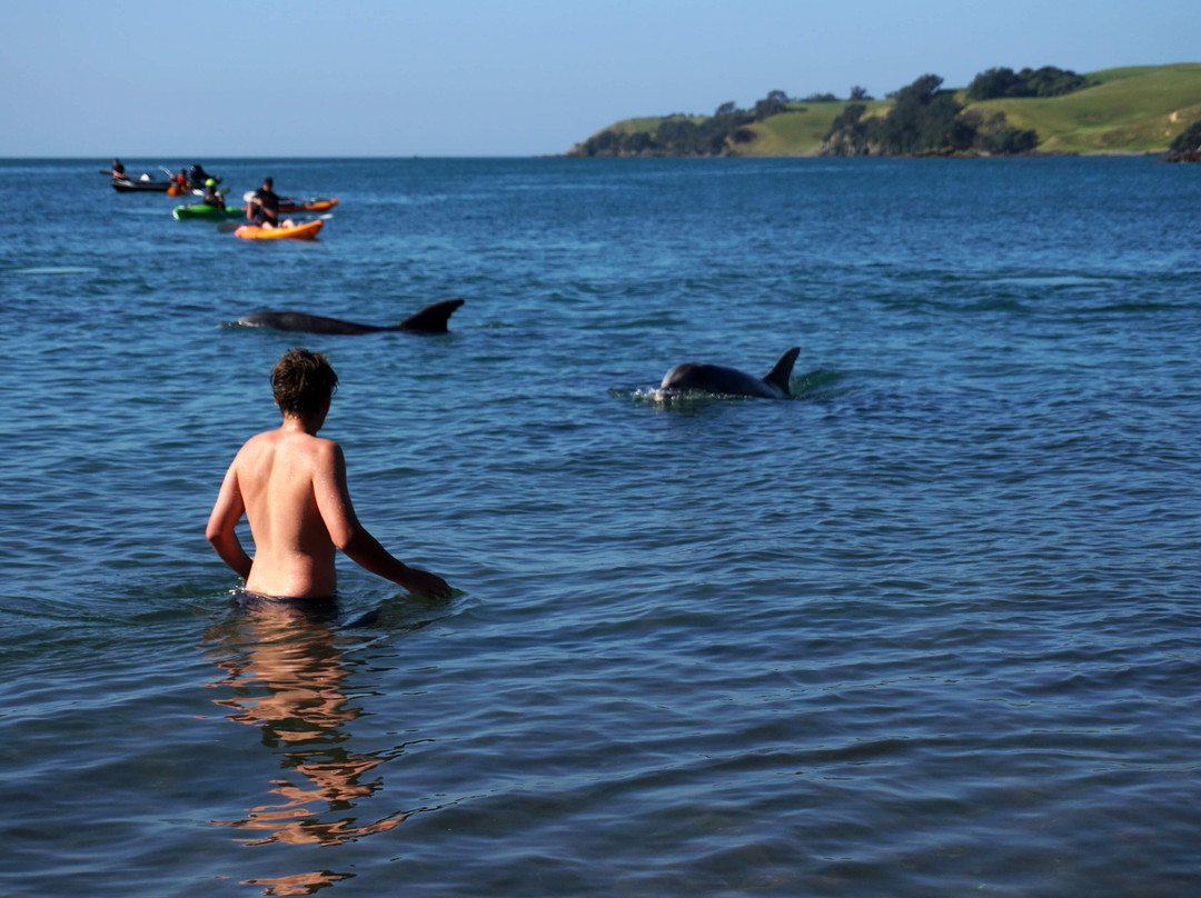 Motutapu Outdoor Education Camp-奥克兰中心地区必去景点