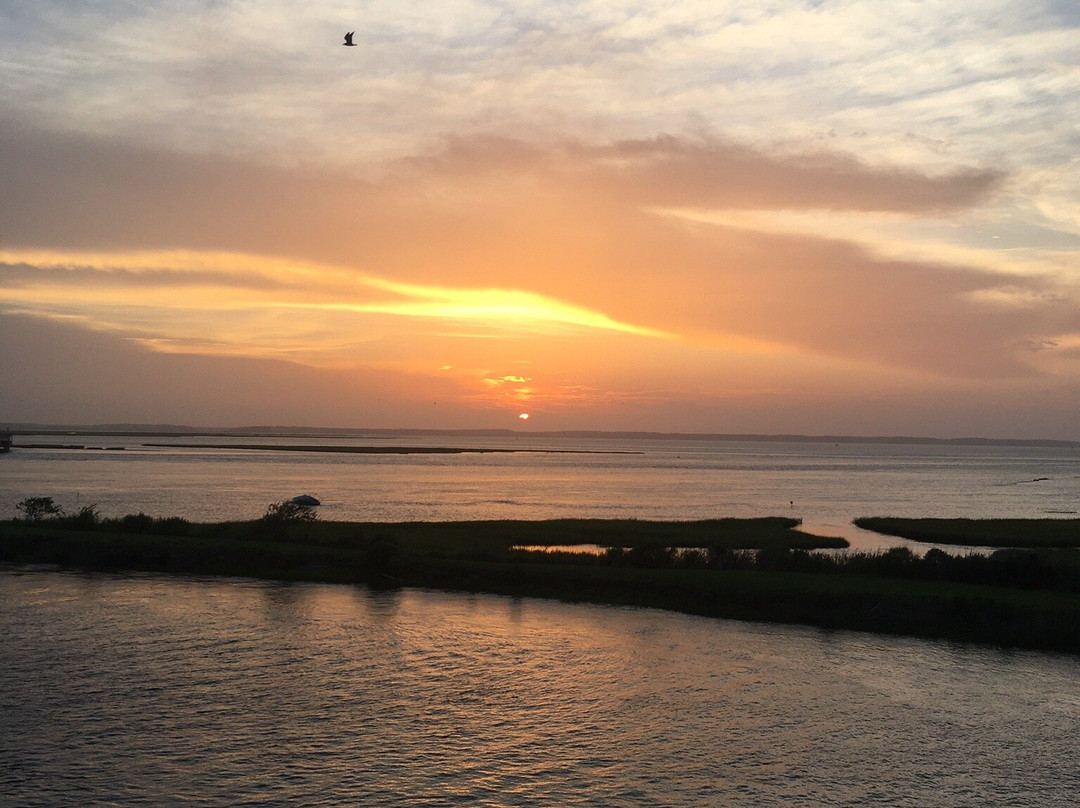 Island Motor Inn Resort主图