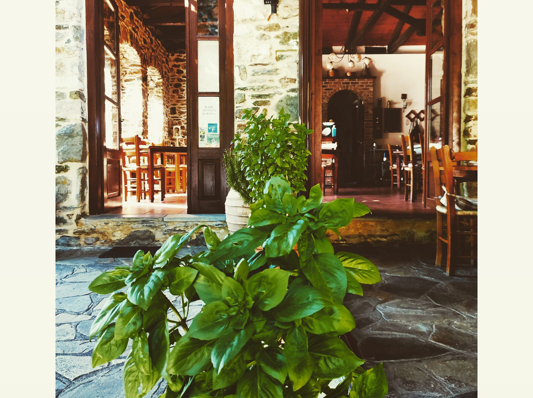 Sotiritsa餐馆和美食-Kapista