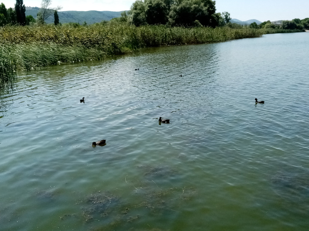 Yenicaga Lake景点图片
