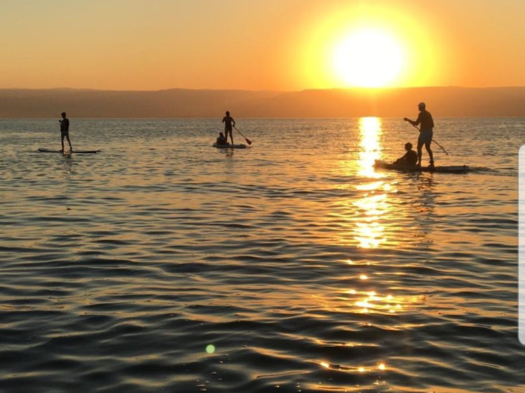 Mr Ananas Surf-Ginosar必去景点