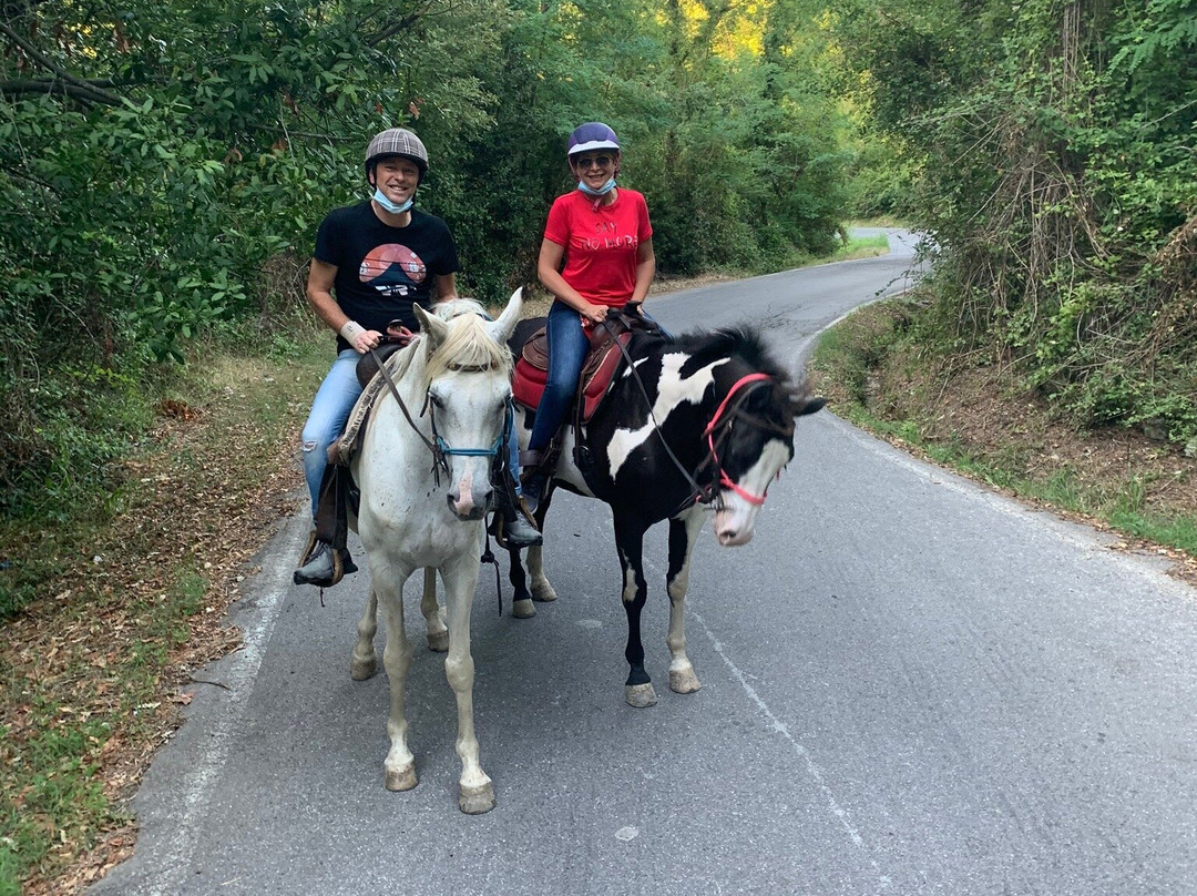 Lucca Horseriding景点图片