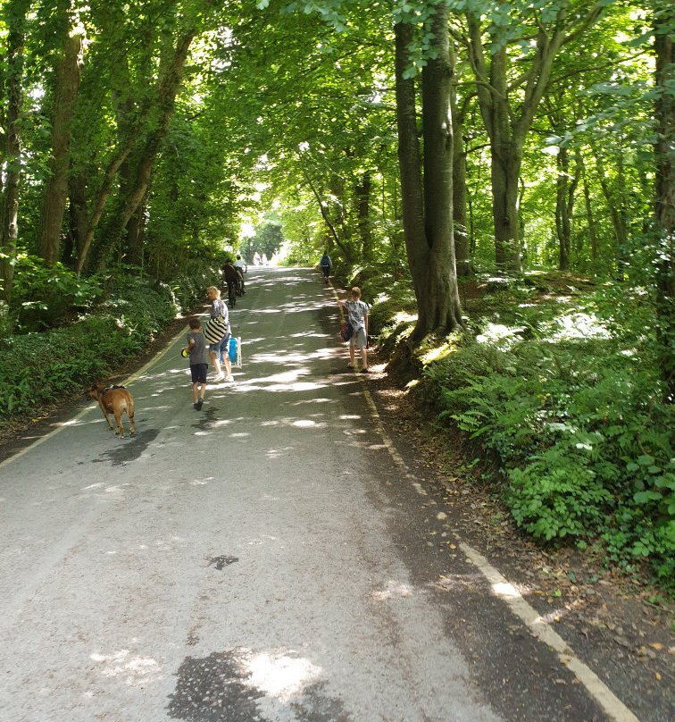 Wern Mill Caravan Park