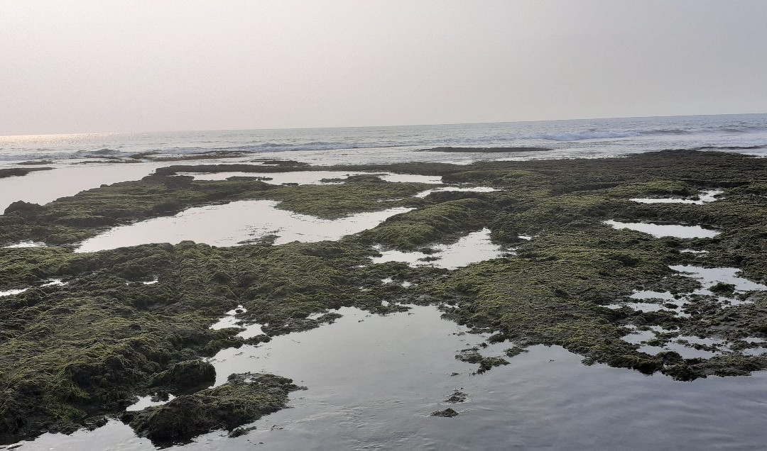 Salsa Beach Hotel主图