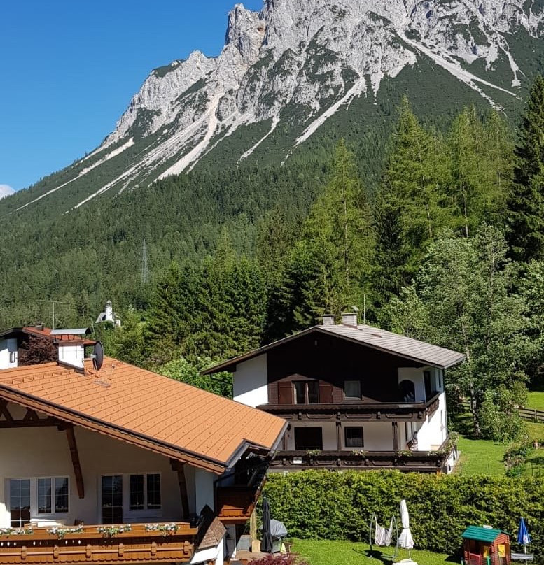 Hotel Alpina-Regina主图