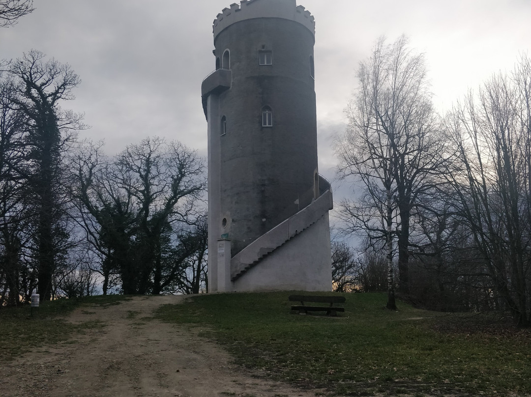 Albertturm-Wermsdorf必去景点