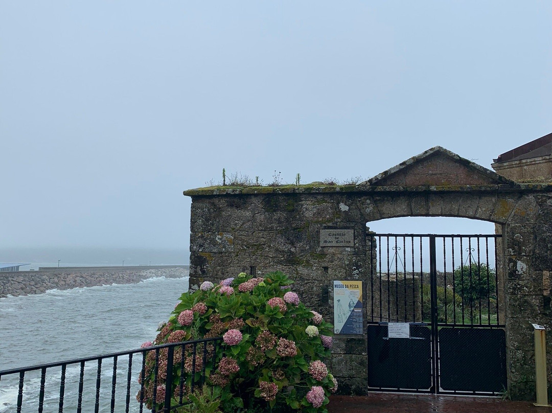 Castillo de San Carlos景点图片