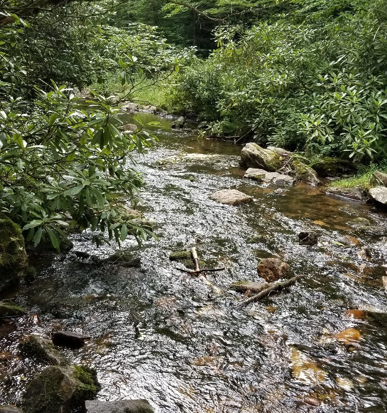 Hawks Falls-White Haven必去景点