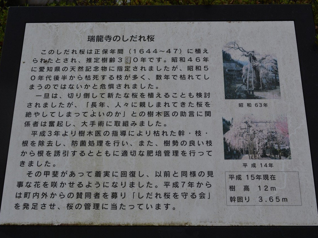 Zuiryuji Temple-丰田市必去景点