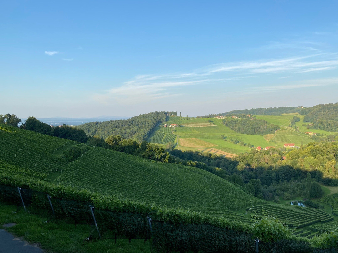 Weingut Wolfgang Maitz主图