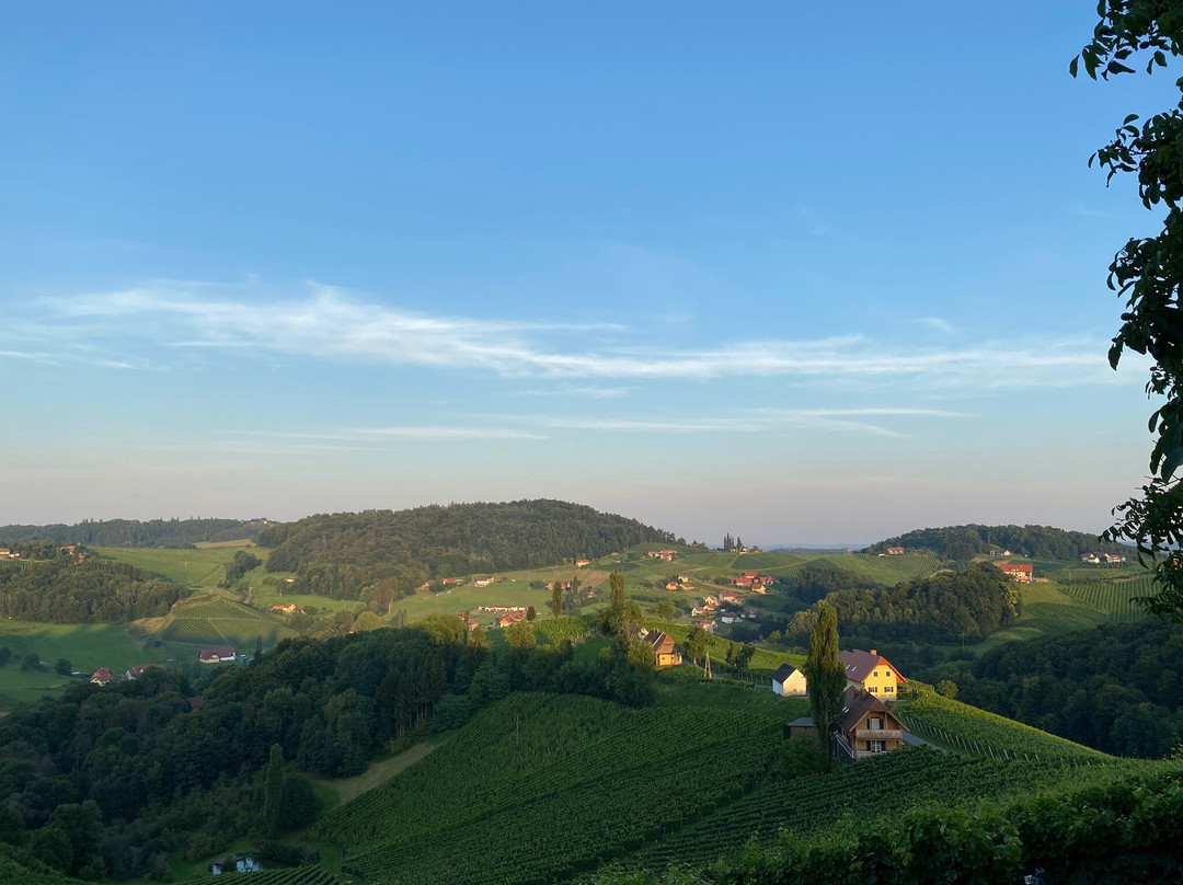 Weingut Wolfgang Maitz主图