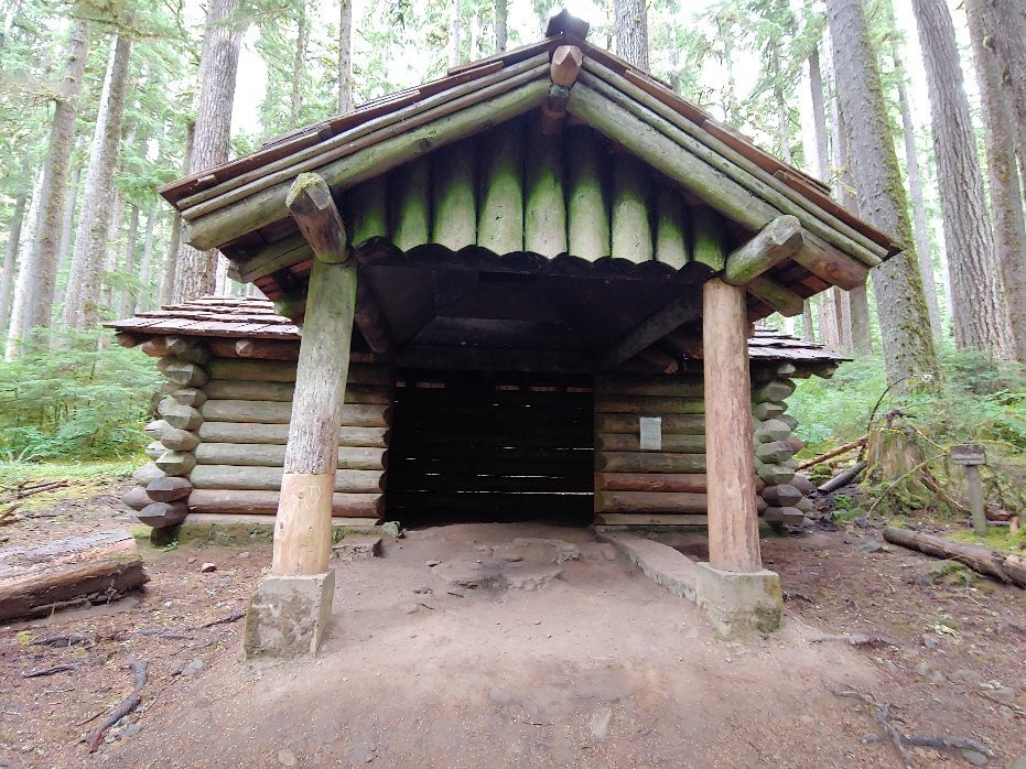Olympic National Park and Forest Lake Quinault Tours景点图片