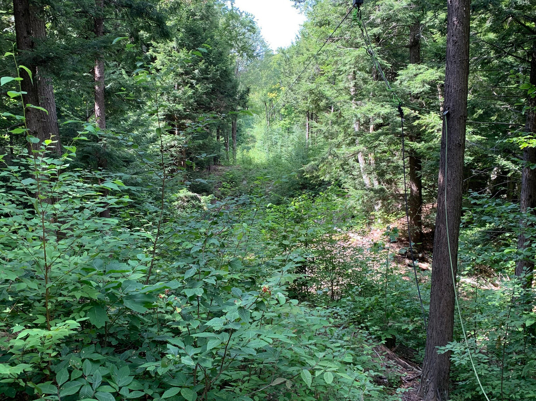 Berkshire East Ski Resort-Charlemont必去景点