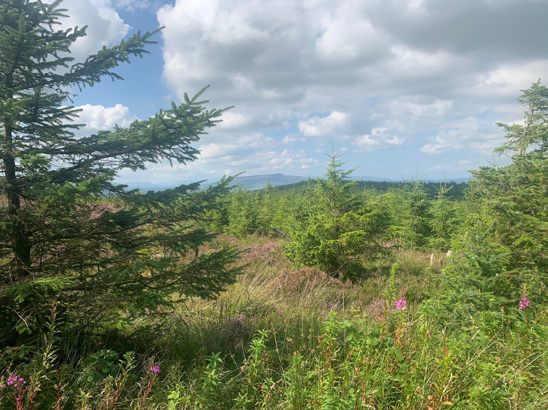 Cavan Burren Park-Cavan必去景点