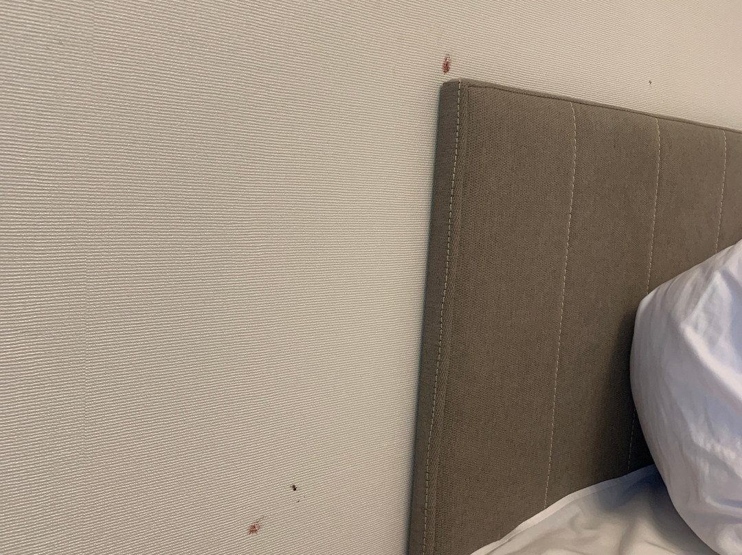 Hotel Klub Sosnowy主图