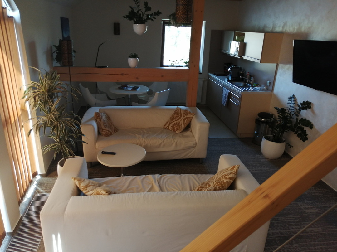 Apart Hotel Jablonec主图