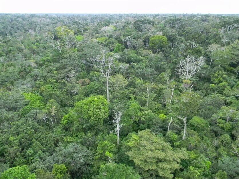 Parque Nacional do Descobrimento景点图片
