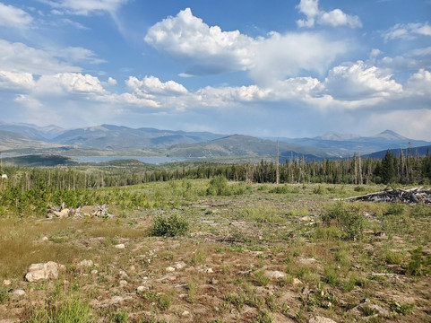 Lily Pad Lake-银座必去景点