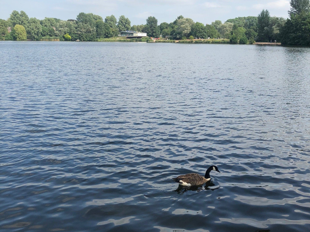 Westport Lake-特伦特河畔斯托克必去景点