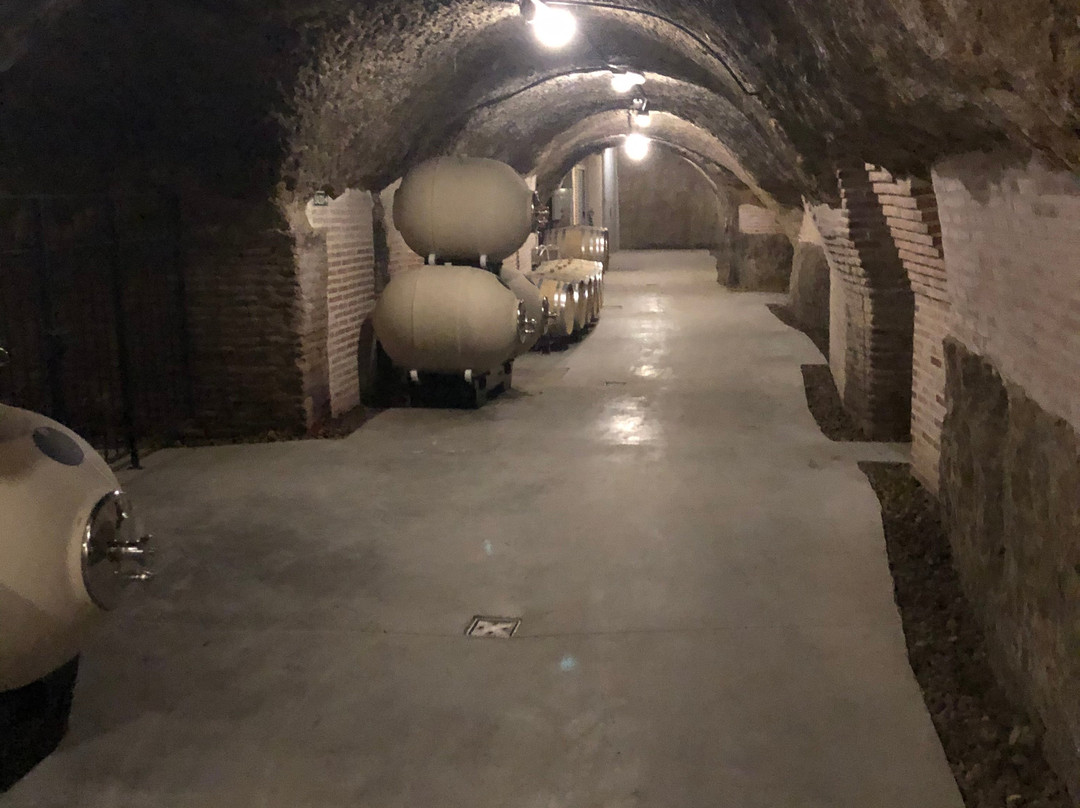Bodega Campo Eliseo-La Seca必去景点