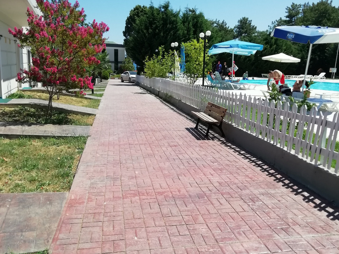 North Star Hotel主图