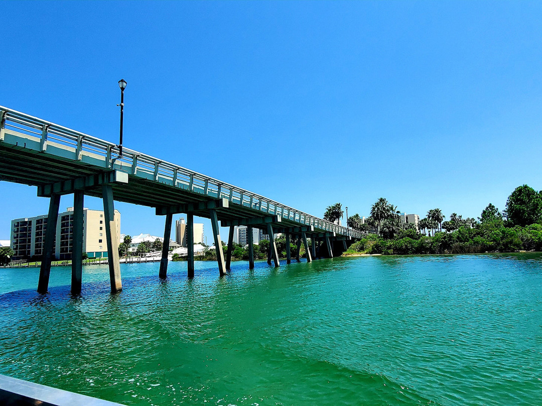 Blue Dolphin Cruises-Perdido Key必去景点