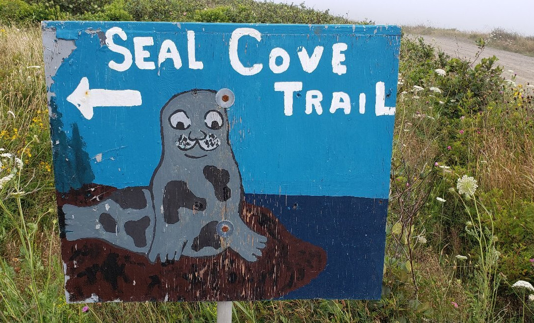Seal Cove景点图片