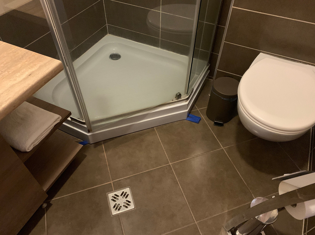 Aranybanya Hotel主图