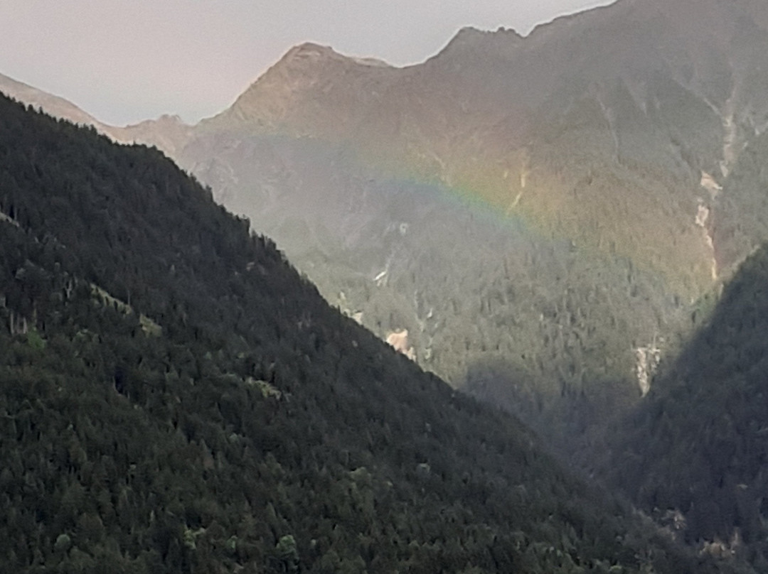 Residence Pfeifhofer主图