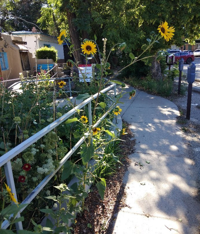 Taos Farmers's Market-道师城必去景点