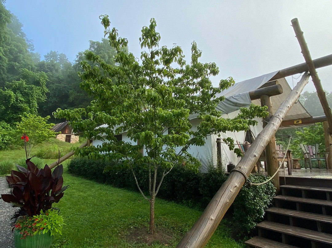 The Depot Lodge主图