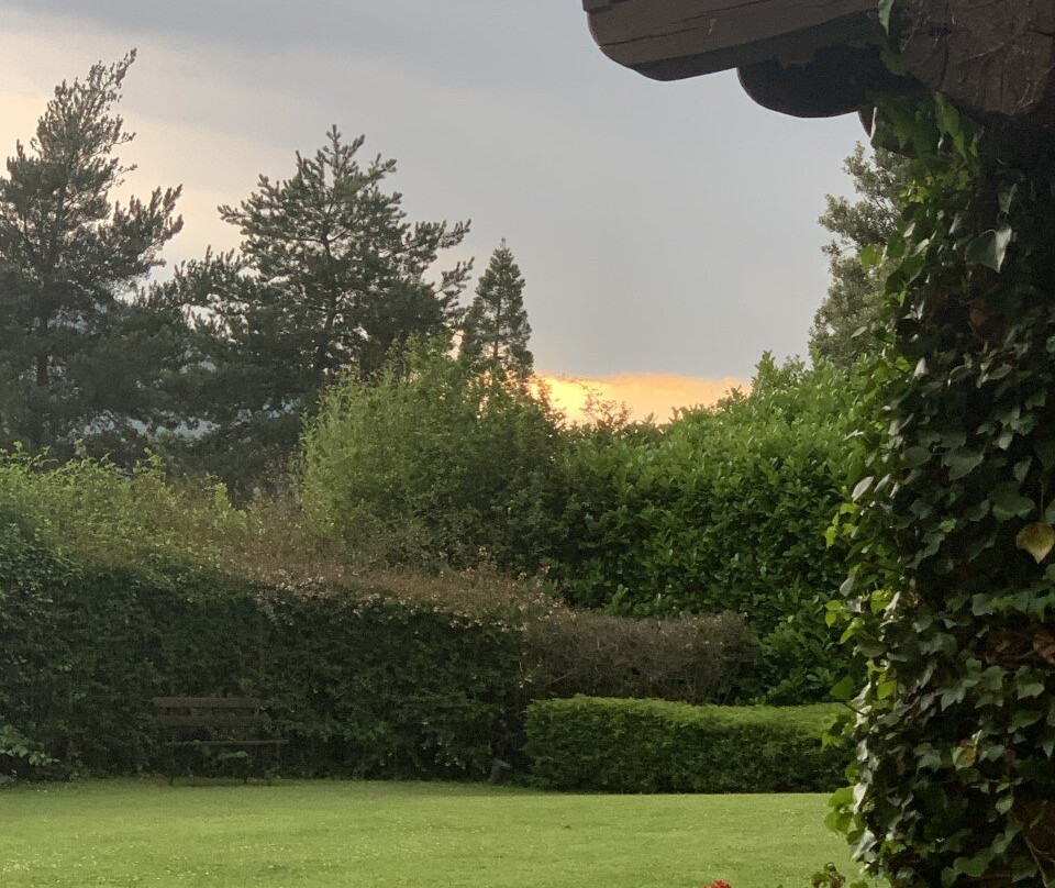 Gran Castanyer主图