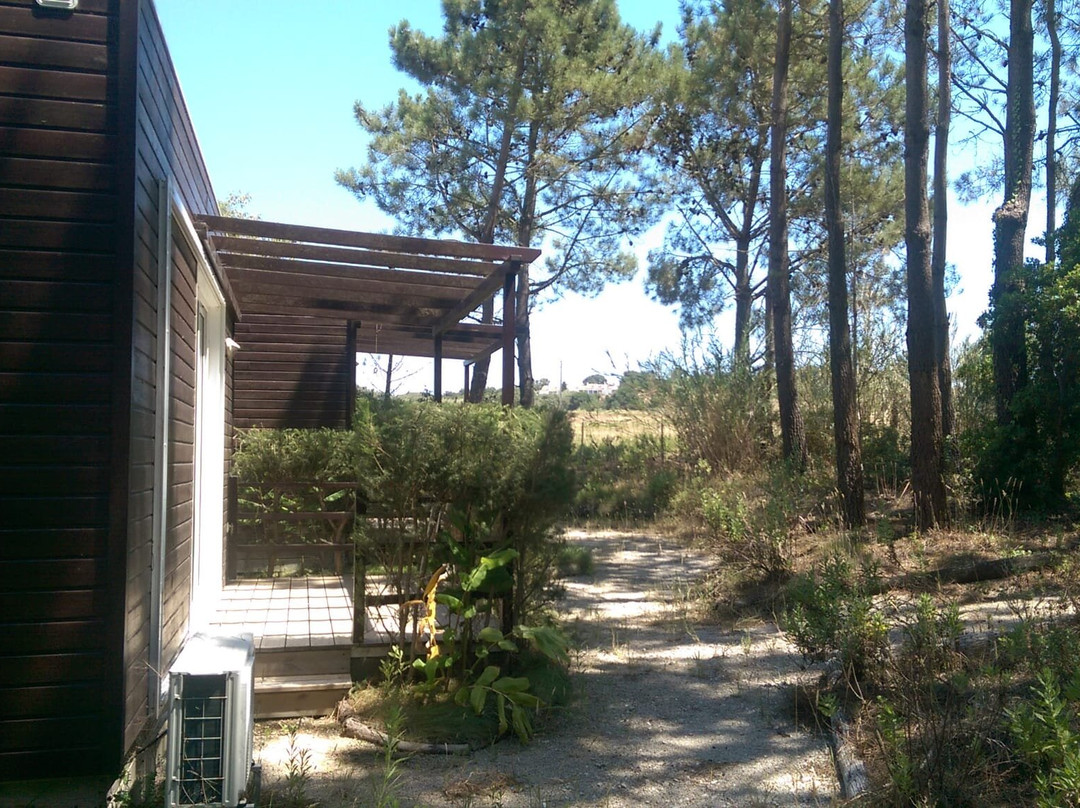 Quinta Dos Amarelos主图