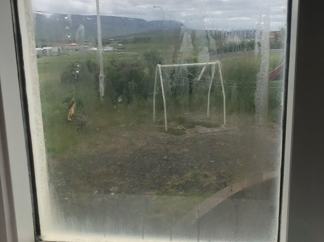 Guesthouse Kiljan主图