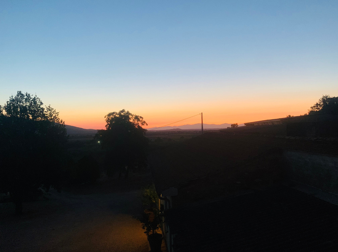 Poggiolivi Agriturismo Bio In Maremma主图