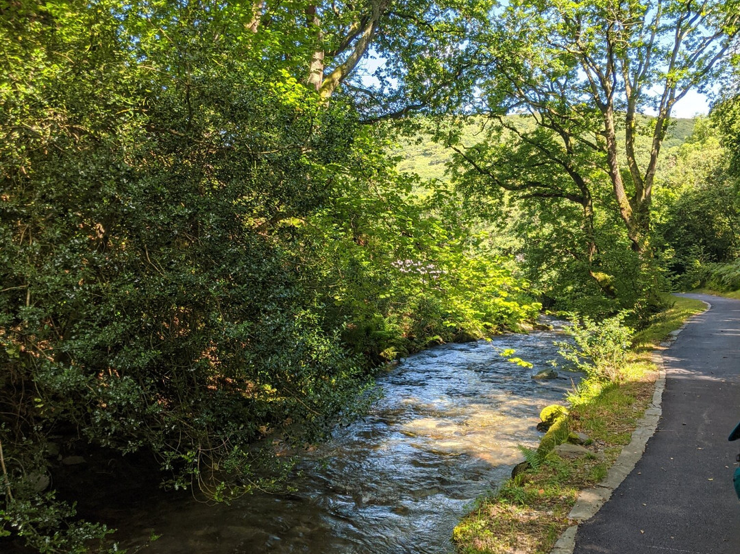 Dolgoch Falls-雪墩国家公园必去景点