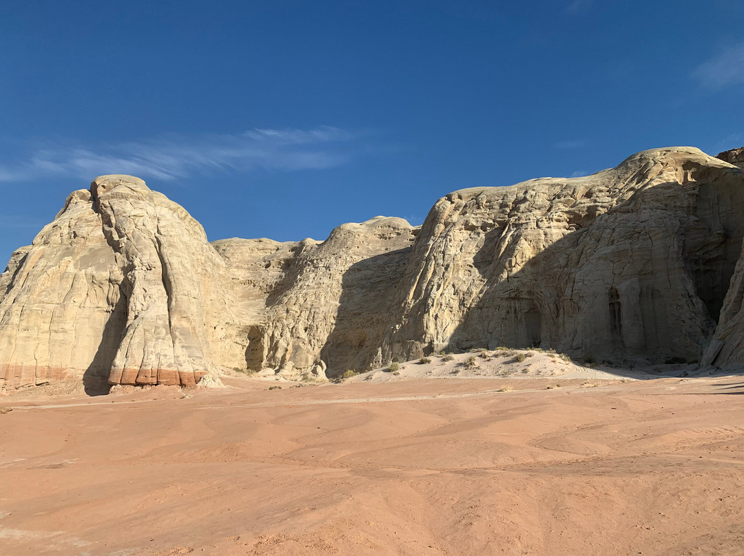 The Toadstools-比格沃特必去景点