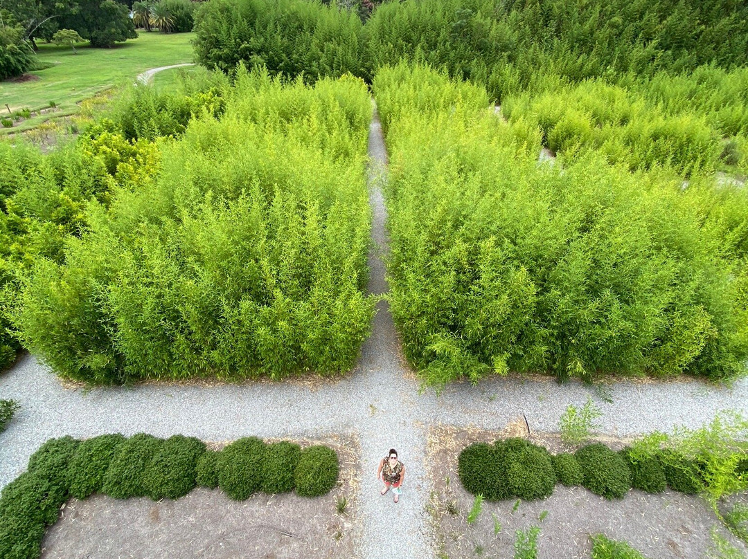 Coastal Georgia Botanical Gardens-萨凡纳必去景点
