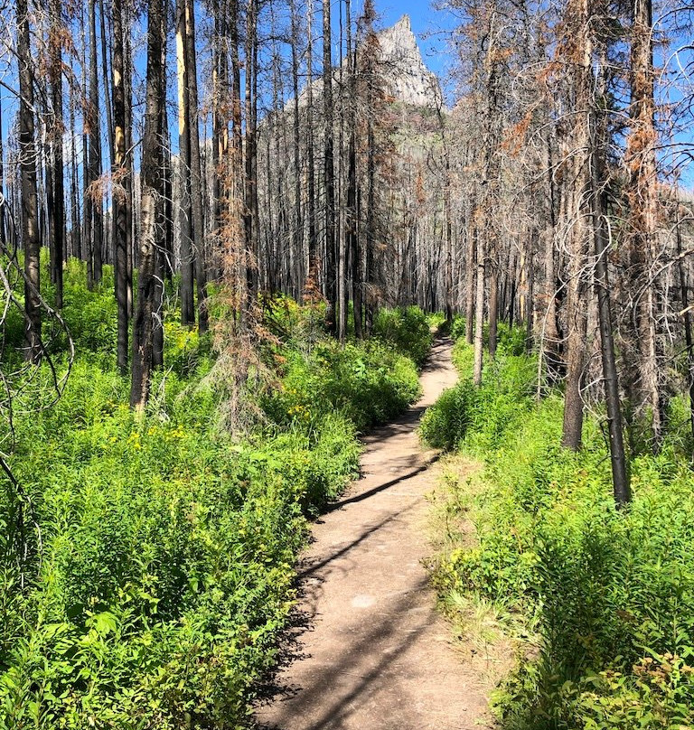 布莱基斯顿瀑布-沃特顿湖国家公园必去景点