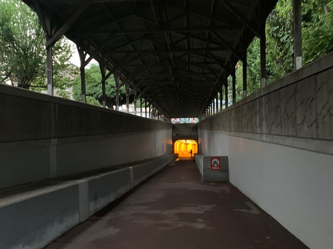 Undersea Tunnel-统营市必去景点