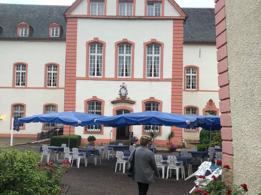 Burg Bollendorf景点图片