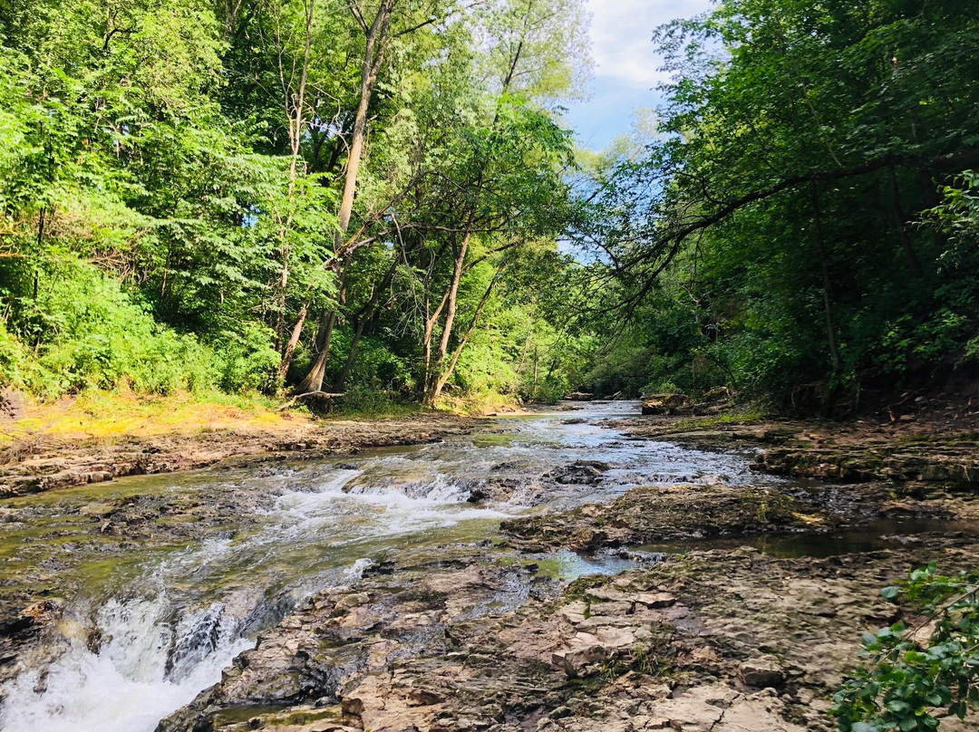 Swinging Bridge-River Falls必去景点